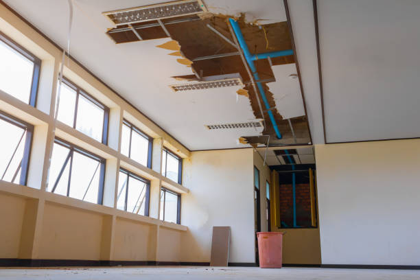 Best Flood restoration services  in Macon, MO