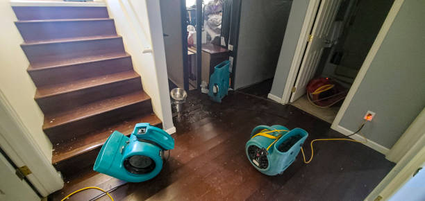 Best Professional water damage repair  in Macon, MO