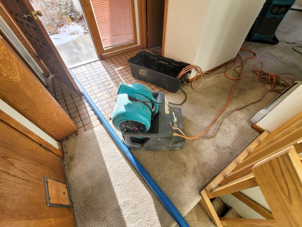 Best Basement water damage restoration  in Macon, MO