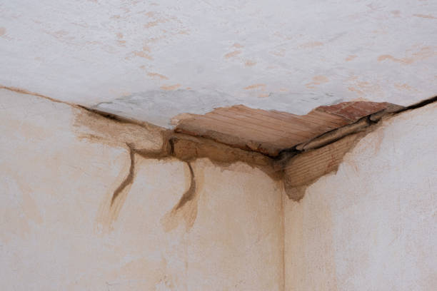 Best Water damage contractors near me  in Macon, MO