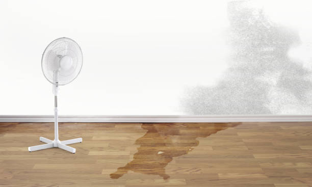 Best Flooded house restoration  in Macon, MO