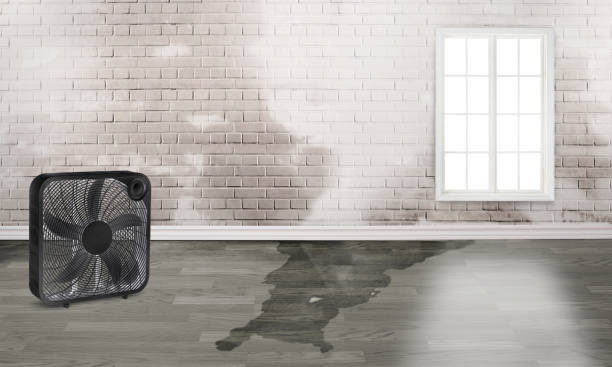 Macon, MO Water damage restoration Company