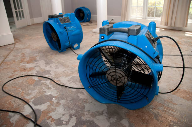 Best Emergency water damage restoration  in Macon, MO