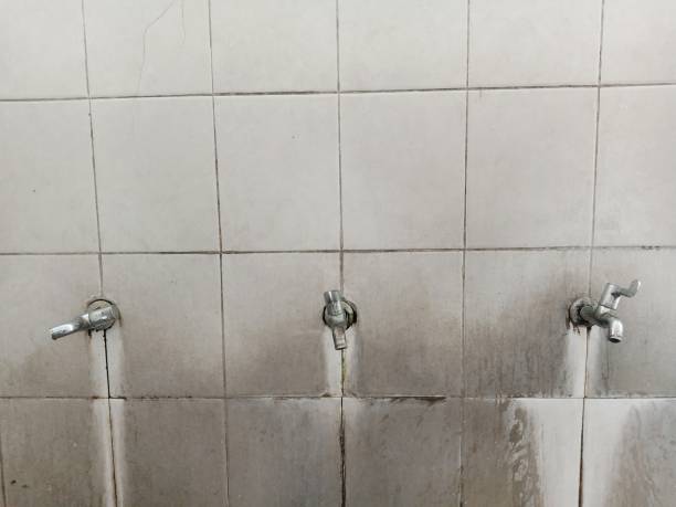 Best Water damage restoration near me  in Macon, MO
