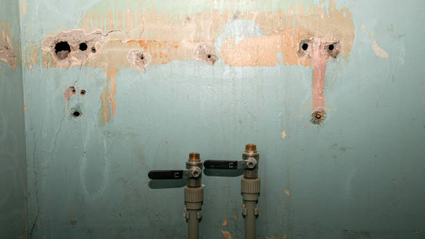 Best Water damage repair service  in Macon, MO