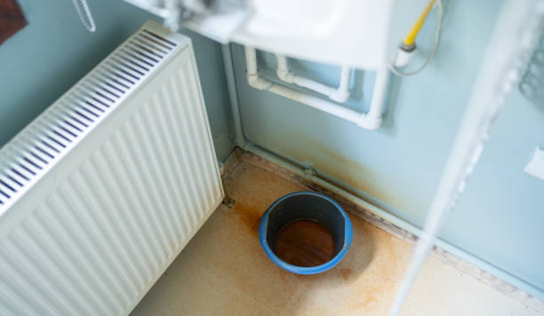 Best Carpet water damage restoration  in Macon, MO