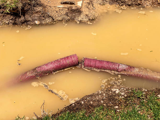 Best Sewage cleanup and water damage restoration  in Macon, MO