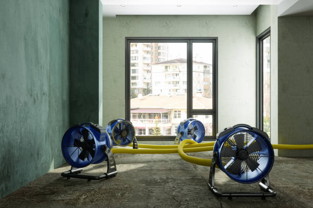 Best Fire Damage Restoration  in Macon, MO